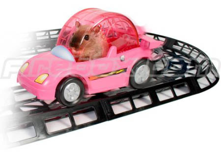 coche hamster