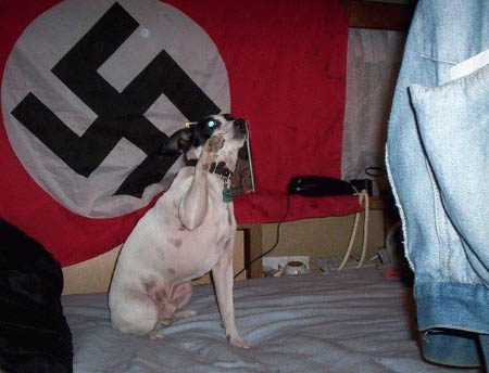 perro bandera nazi
